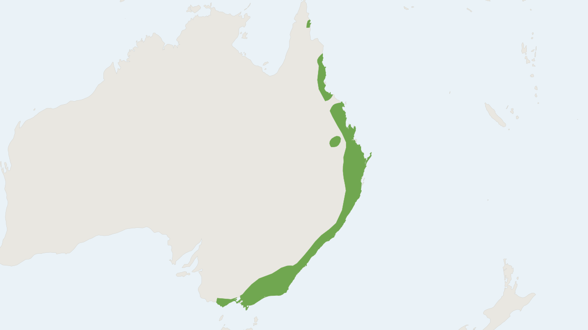 Range map of the Long-nosed Bandicoot (Perameles nasuta)