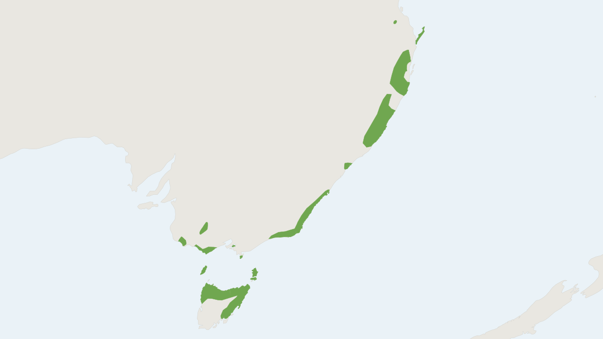 Range map of the Long-nosed Potoroo (Potorous tridactylus)
