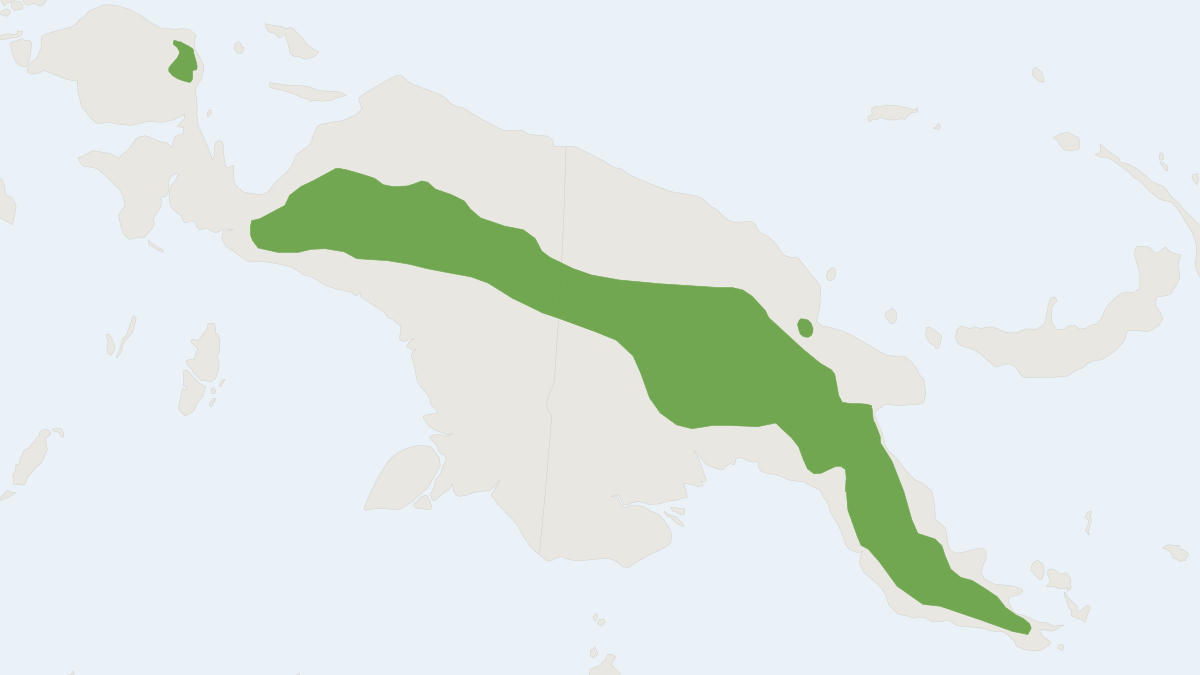 Range map of the Long-tailed Bandicoot (Microperoryctes longicauda)