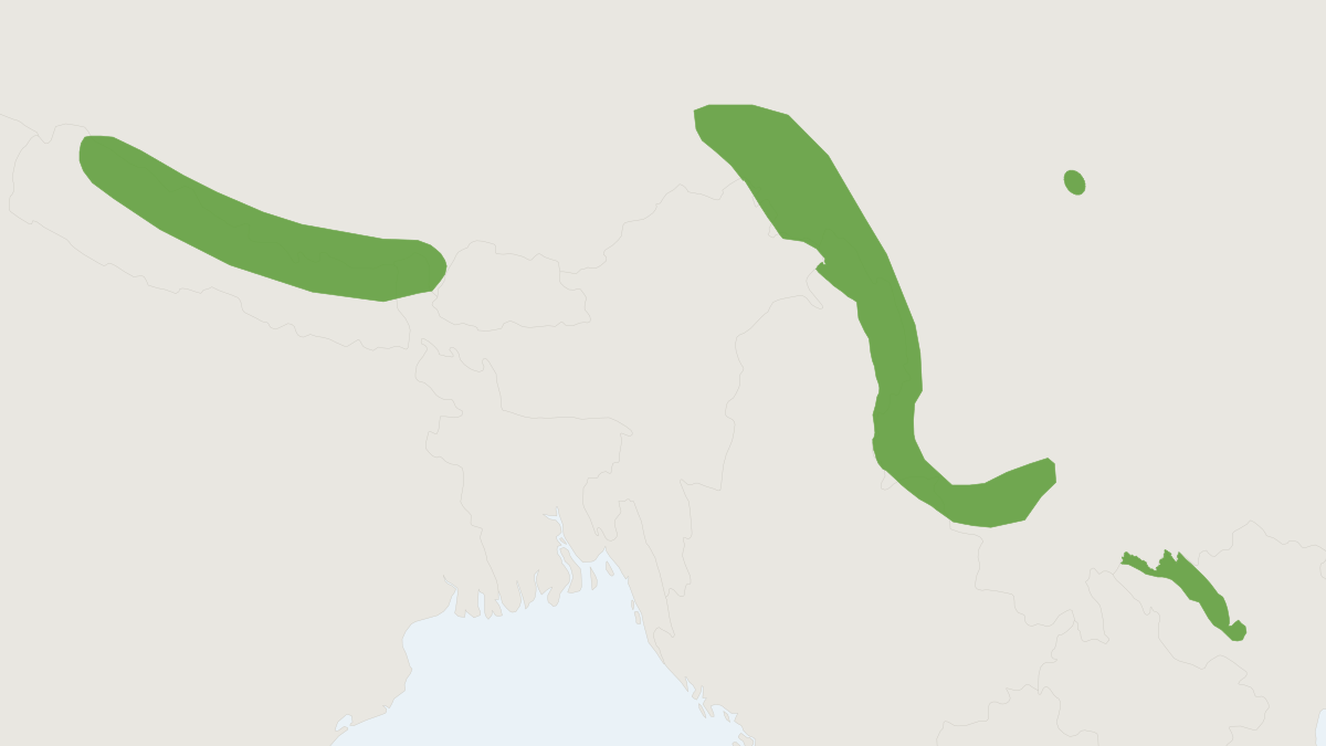 Range map of the Long-tailed Brown-toothed Shrew (Episoriculus leucops)