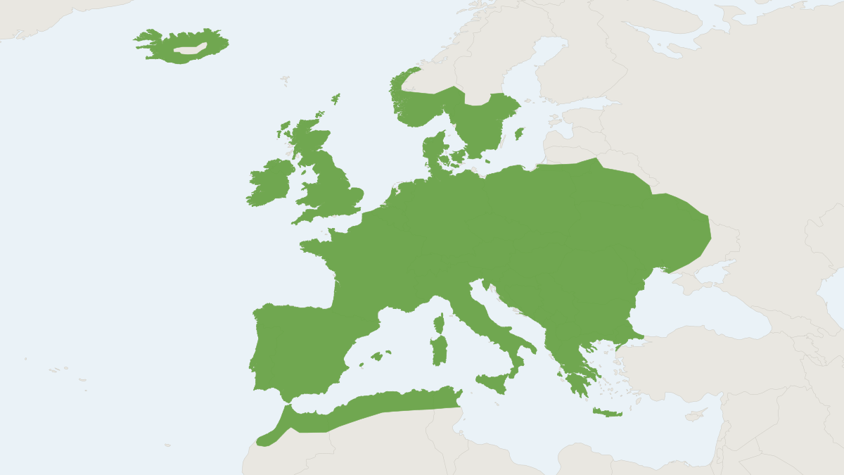 Range map of the Long-tailed Field Mouse (Apodemus sylvaticus) covering Algeria, France and Ireland