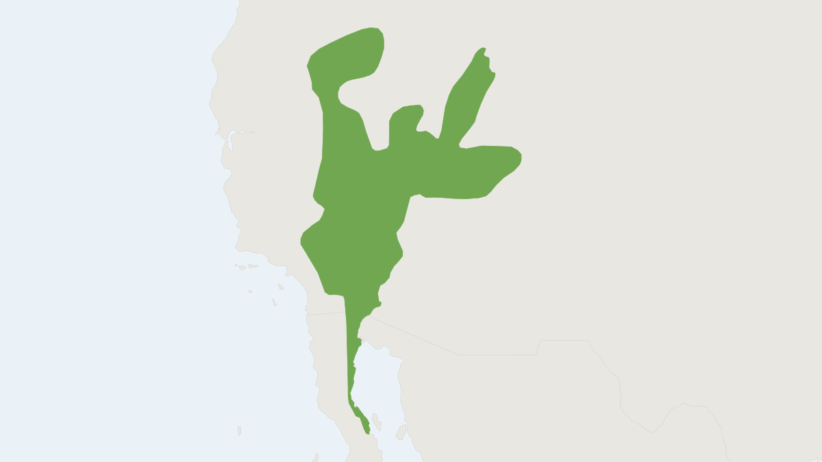 Range map of the Long-tailed Pocket Mouse (Chaetodipus formosus) covering Mexico and United States
