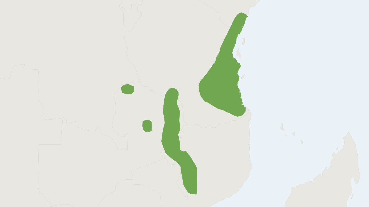 Range map of the Long-tailed Pouched Rat (Beamys hindei) covering Malawi, Mozambique and Tanzania