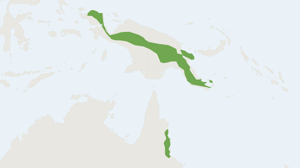 Range map of the Long-tailed Pygmy Possum (Cercartetus caudatus) covering Australia, Indonesia and Papua New Guinea