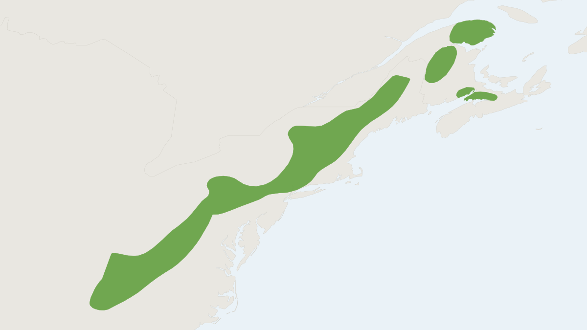 Range map of the Long-tailed Shrew (Sorex dispar)