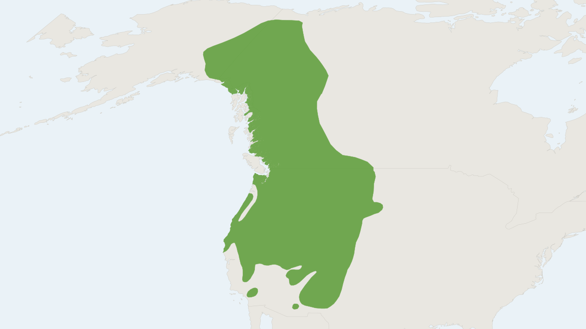 Range map of the Long-tailed Vole (Microtus longicaudus)