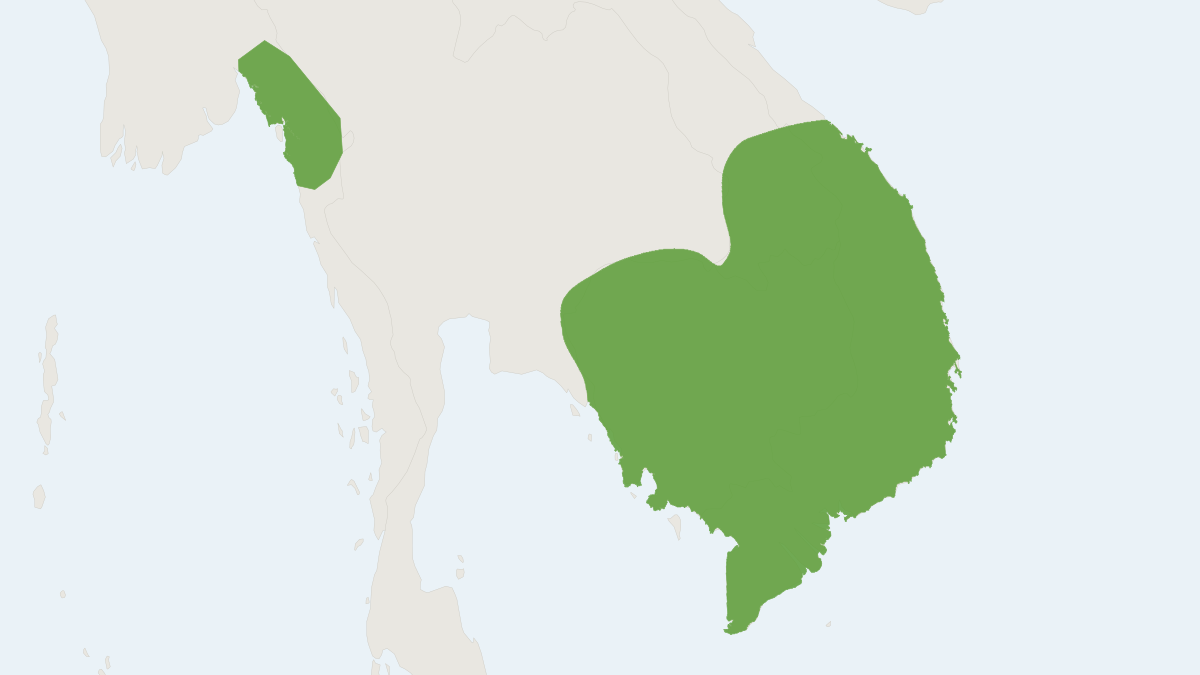 Range map of the Long-toothed Pipistrelle (Hypsugo dolichodon)