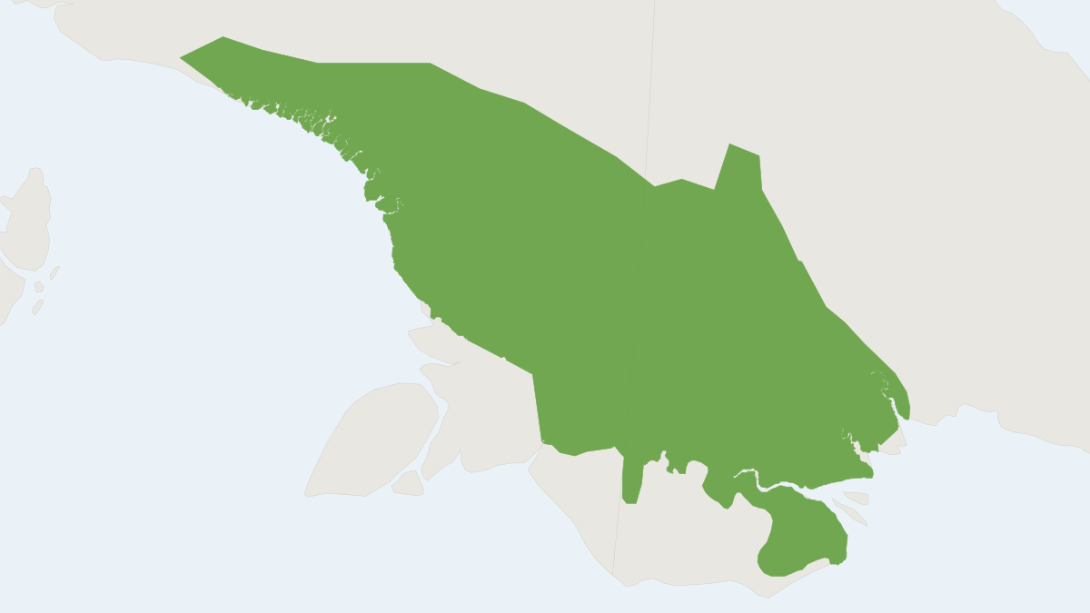 Range map of the Lorentz’s Paramelomys (Paramelomys lorentzii)