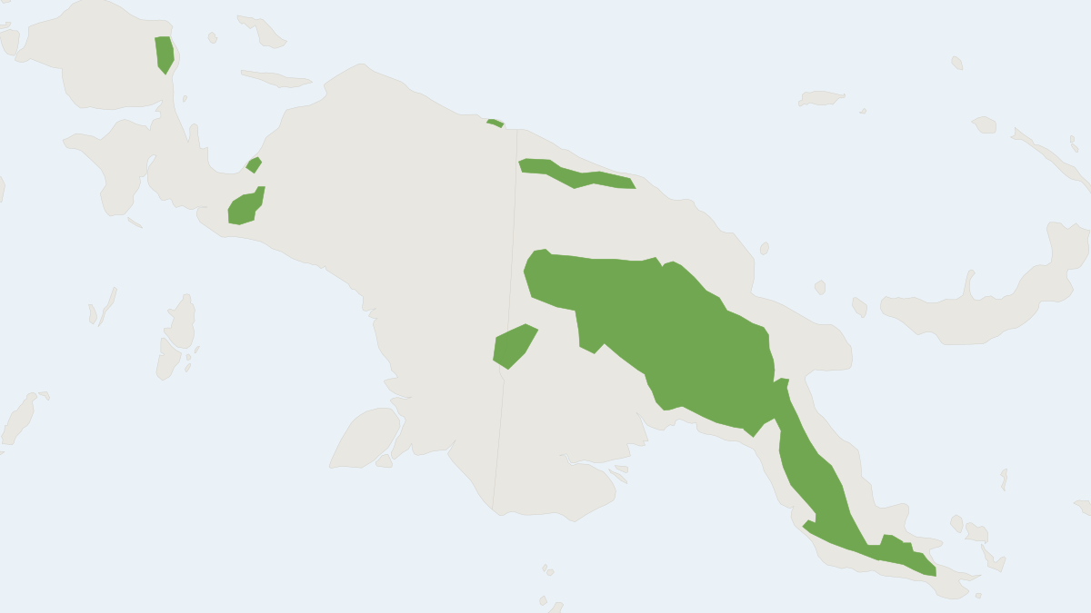 Range map of the Loria’s Pogonomys (Pogonomys loriae)