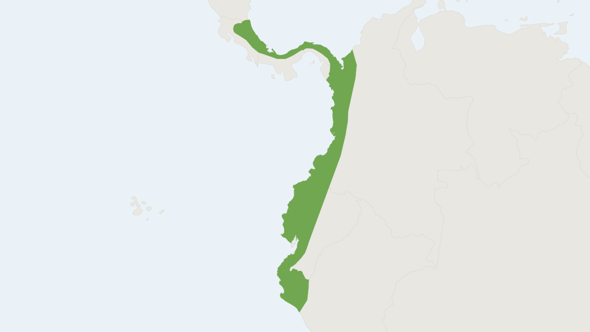Range map of the Louis's Yellow-shouldered Bat (Sturnira luisi)