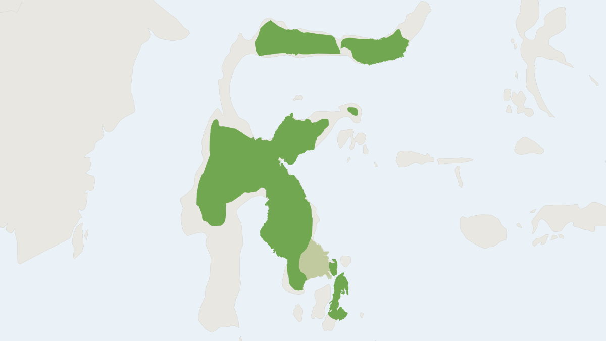 Range map of the Lowland Anoa (Bubalus depressicornis) covering Indonesia