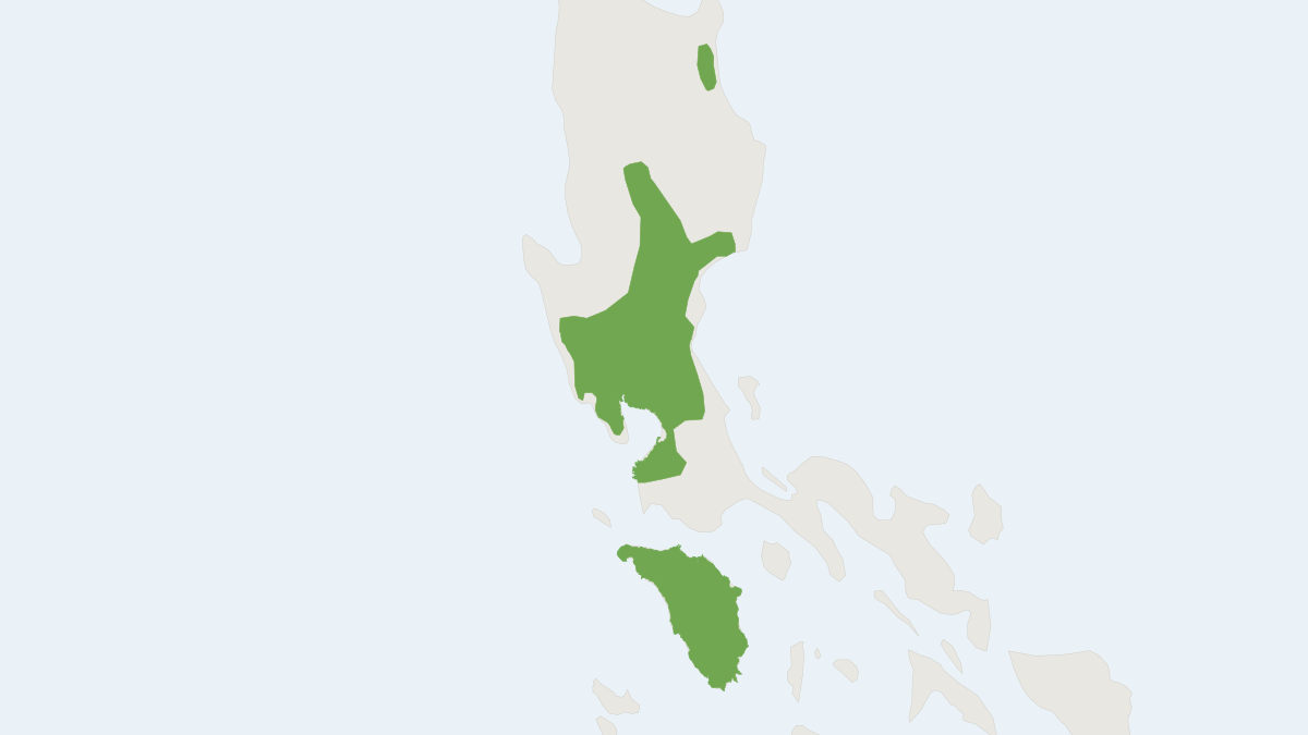 Range map of the Lowland Chrotomys (Chrotomys mindorensis) covering Philippines