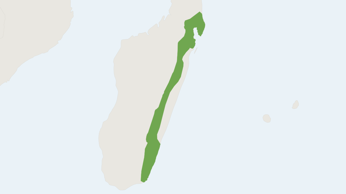 Range map of the Lowland Red Forest Rat (Nesomys audeberti)