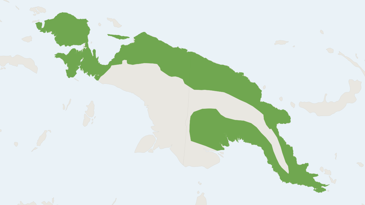 Range map of the Lowland Ringtail (Pseudochirulus canescens)