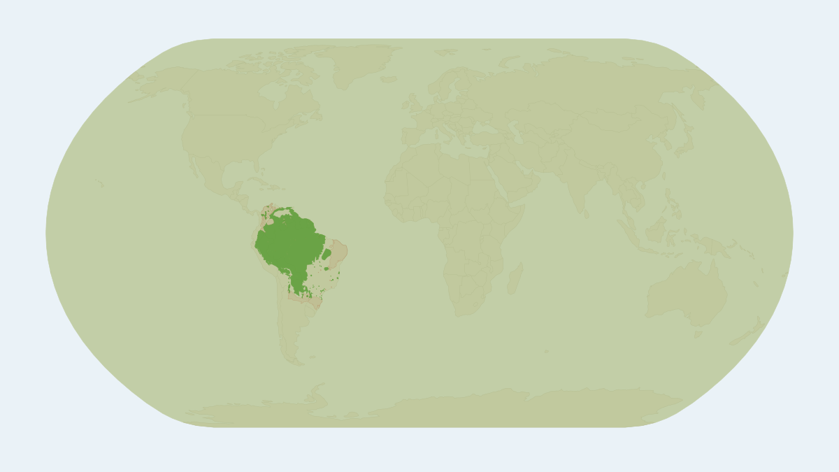 Range map of the Lowland Tapir (Tapirus terrestris) covering Argentina, Bolivia and Brazil