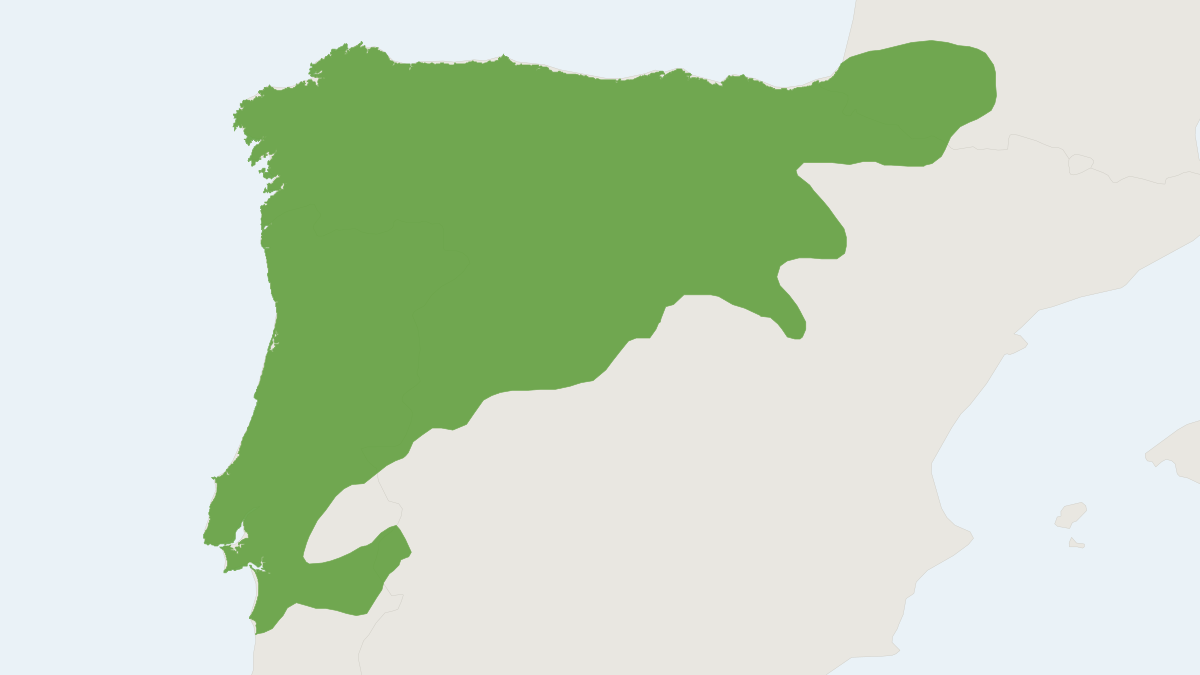 Range map of the Lusitanian Pine Vole (Microtus lusitanicus)