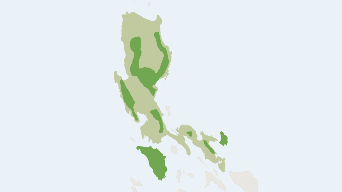 Range map of the Luzon Shrew (Crocidura grayi) covering Philippines
