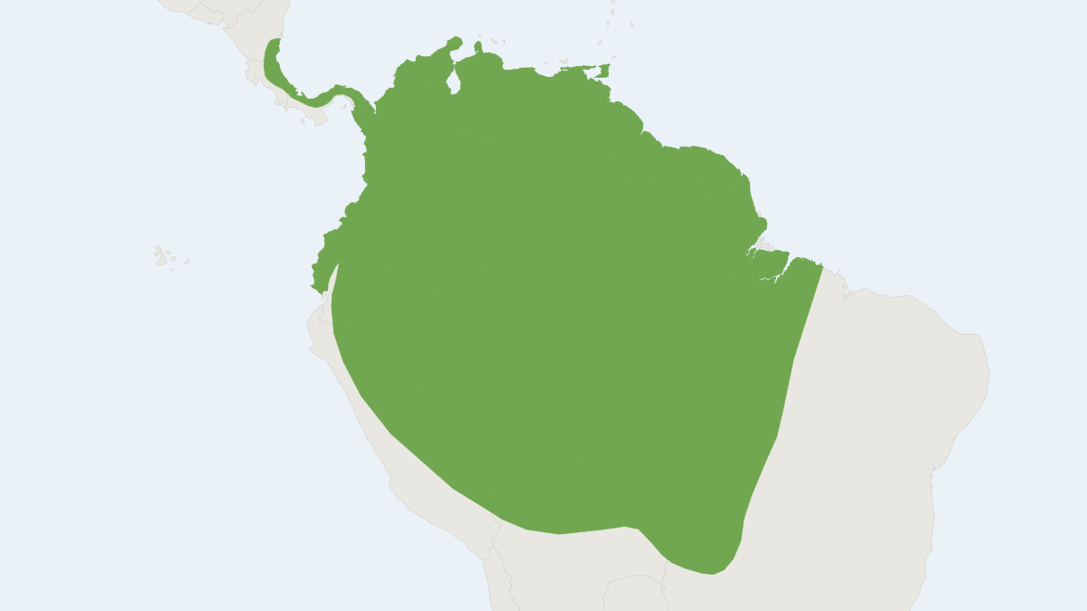 Range map of the Macconnell's Bat (Mesophylla macconnelli)