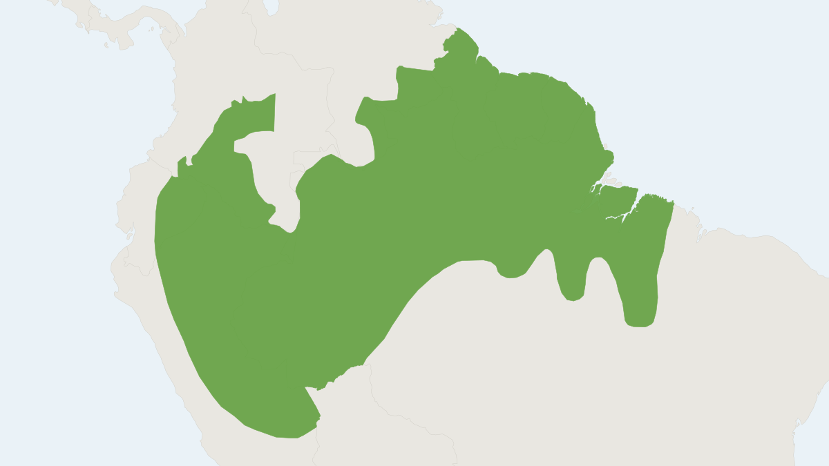 Range map of the Macconnell's Rice Rat (Euryoryzomys macconnelli)