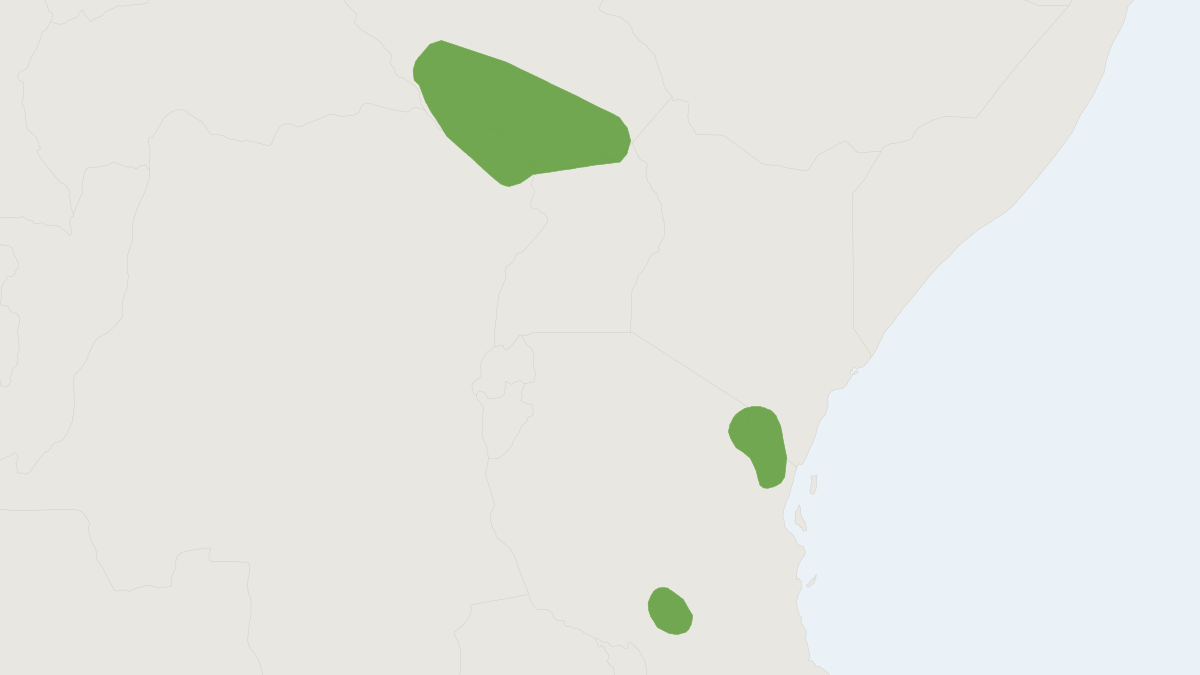 Range map of the Macmillan's Thicket Rat (Grammomys macmillani)