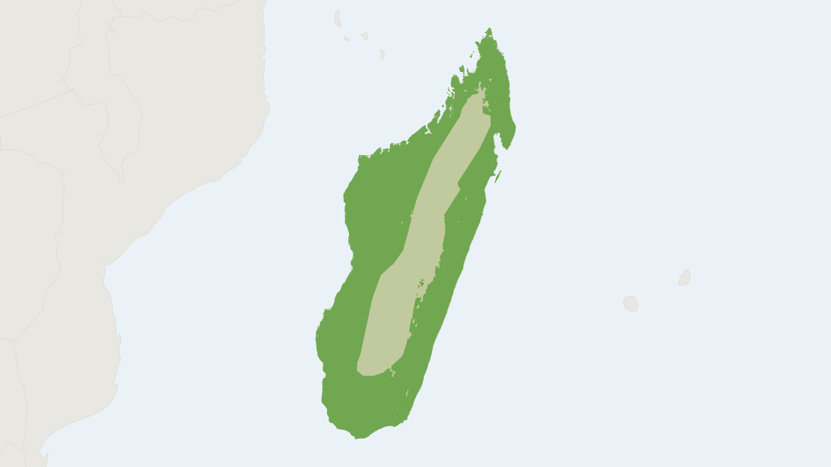 Range map of the Madagascan Flying Fox (Pteropus rufus)