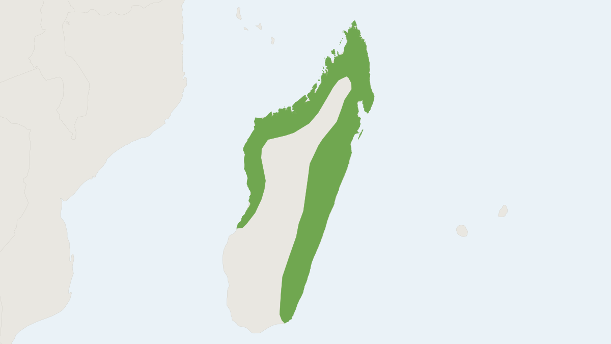 Range map of the Madagascan Rousette (Rousettus madagascariensis)