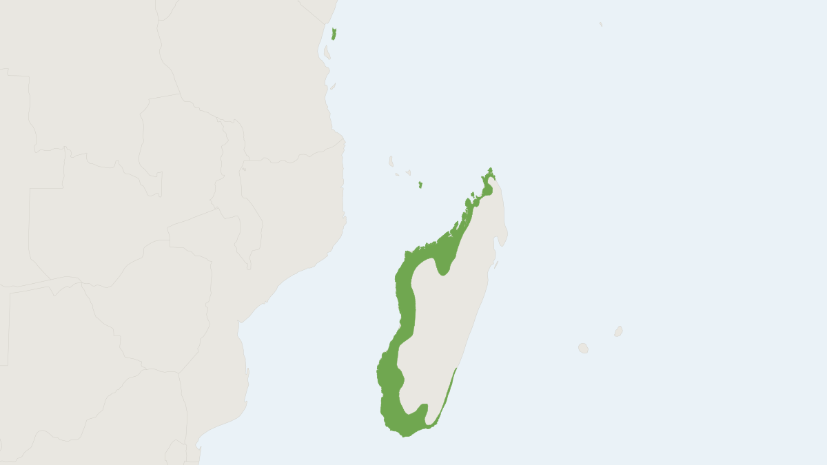 Range map of the Madagascan White-bellied Freetailed Bat (Mops leucogaster)