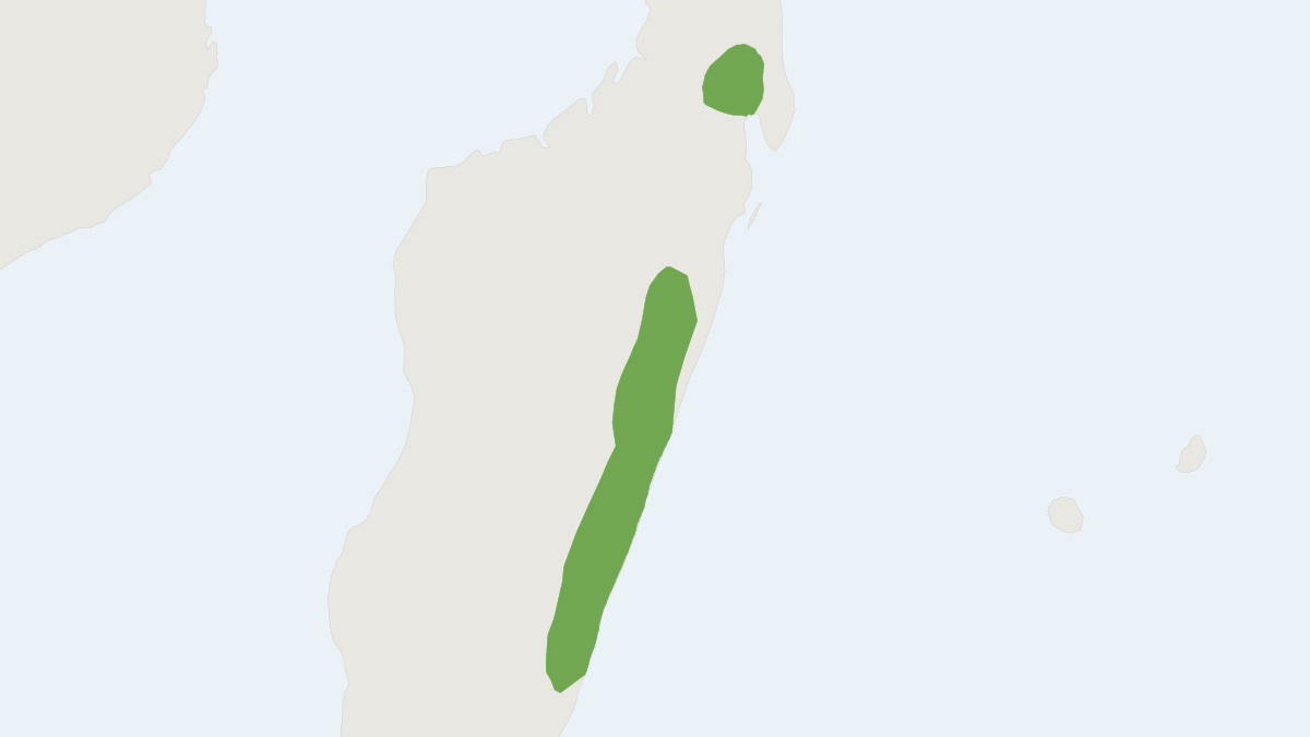 Range map of the Madagascar Free-tailed Bat (Mops atsinanana)