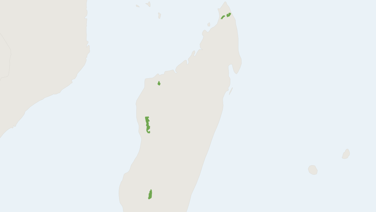 Range map of the Madagascar Free-tailed Bat (Otomops madagascariensis)
