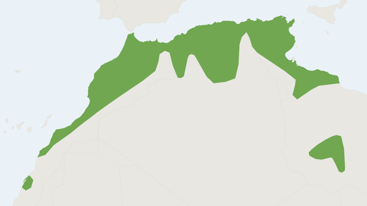Range map of the Maghreb Garden Dormouse (Eliomys munbyanus)