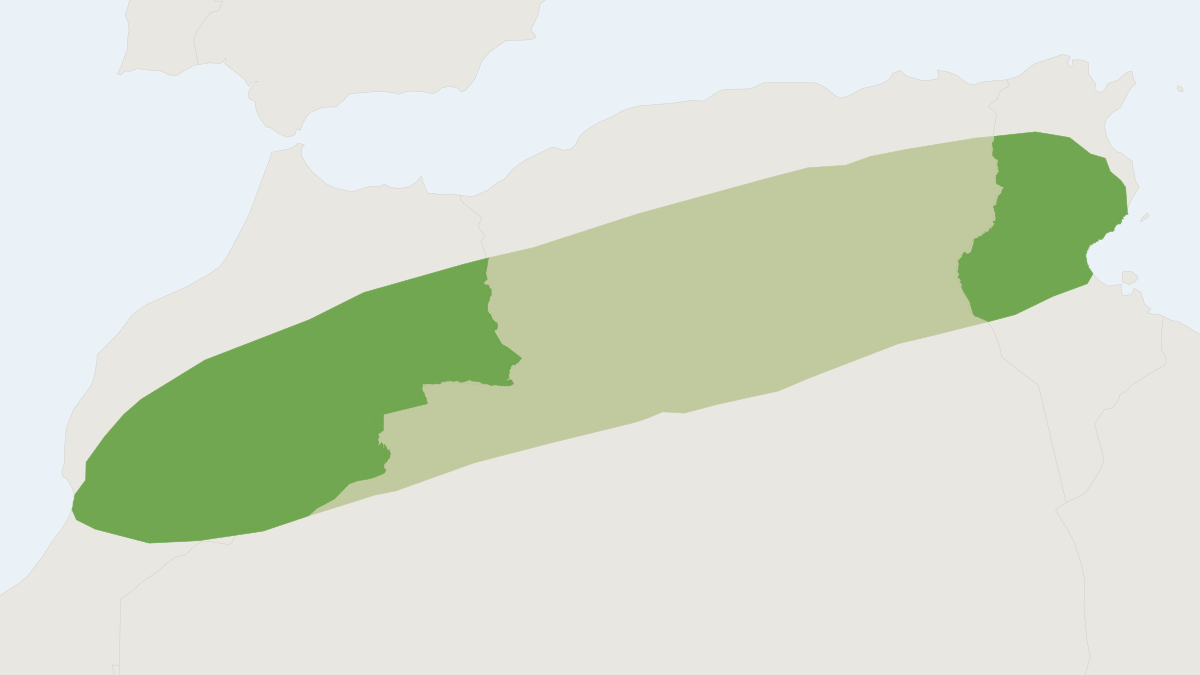 Range map of the Maghrebian Bent-wing Bat (Miniopterus maghrebensis)