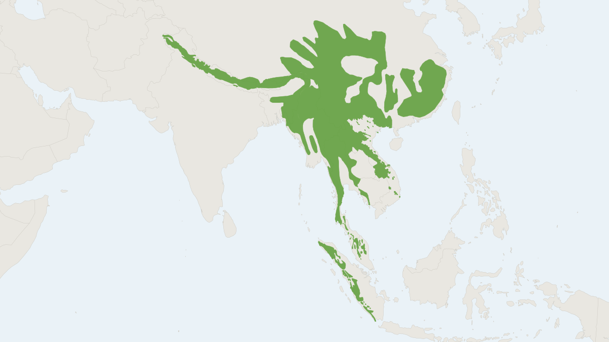 Range map of the Mainland Serow (Capricornis sumatraensis)