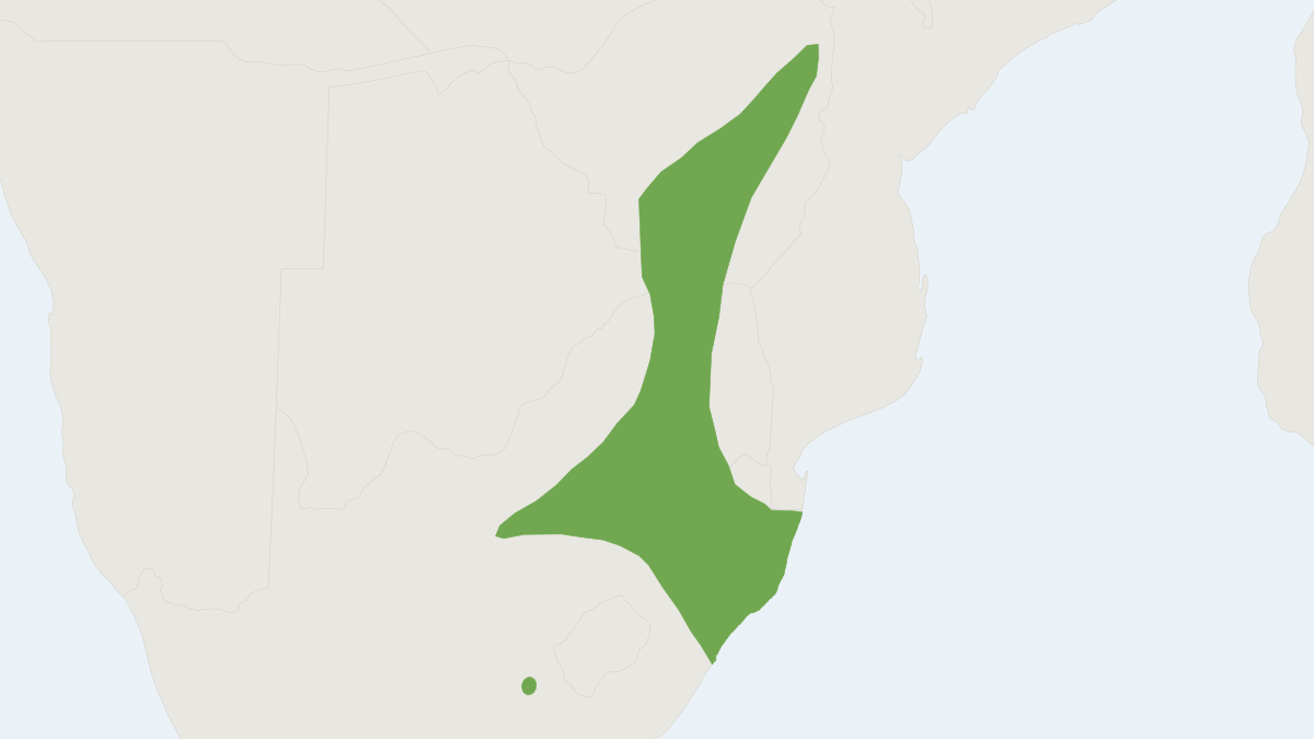 Range map of the Makwassie White-toothed Shrew (Crocidura maquassiensis) covering South Africa