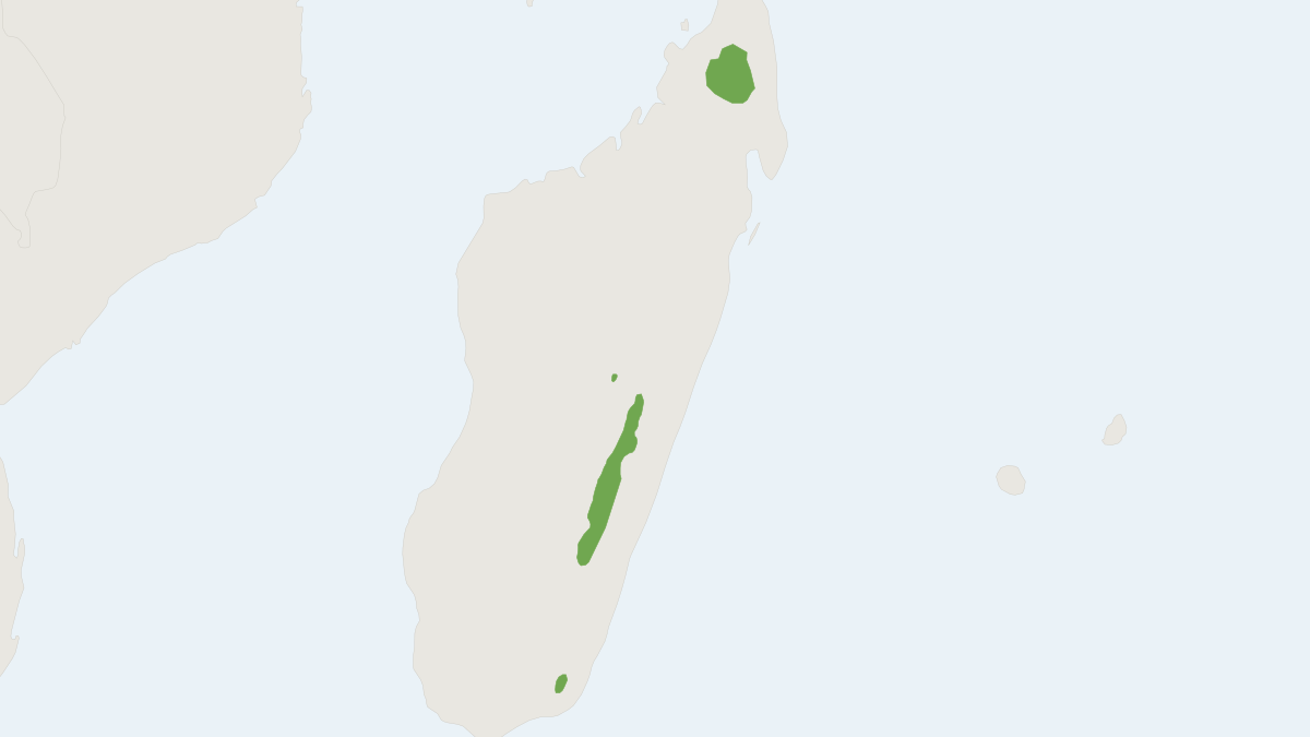 Range map of the Malagasy Mountain Mouse (Monticolomys koopmani)