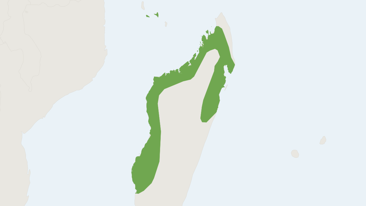 Range map of the Malagasy White-bellied Free-tailed Bat (Mops leucostigma)