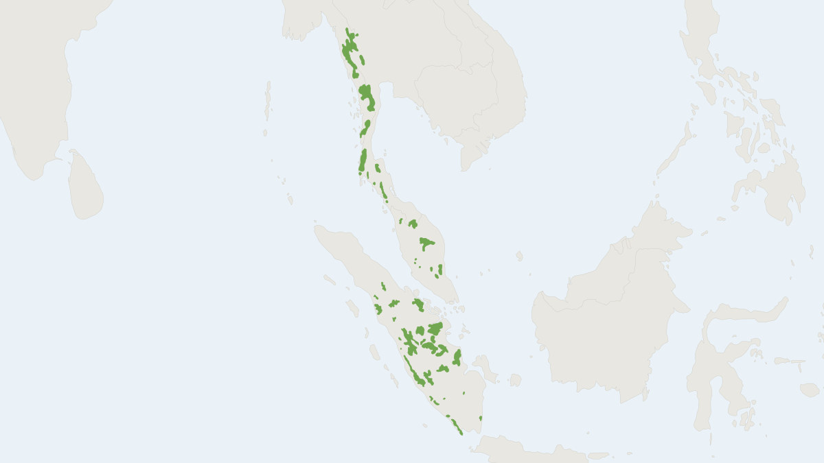 Range map of the Malay Tapir (Tapirus indicus) covering Indonesia, Malaysia and Myanmar