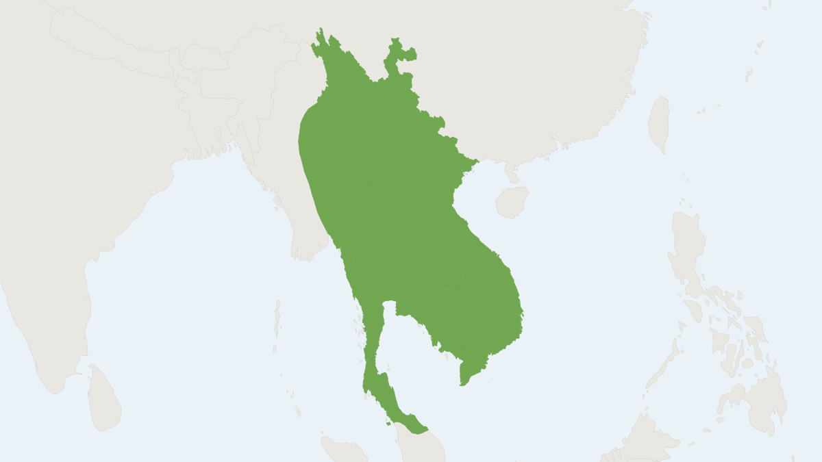 Range map of the Malayan Horseshoe Bat (Rhinolophus malayanus)
