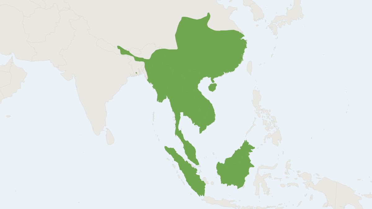 Range map of the Malayan Porcupine (Hystrix brachyura)