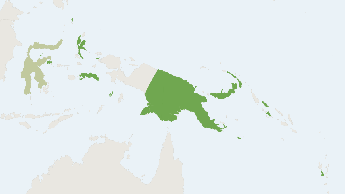 Range map of the Maluku Myotis (Myotis moluccarum)