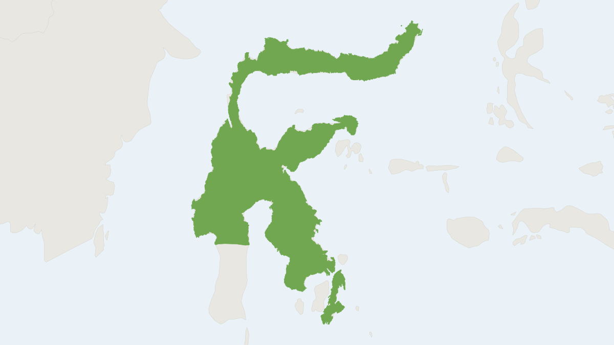 Range map of the Manado Rousette (Boneia bidens)