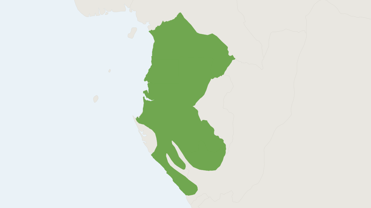 Range map of the Mandrill (Mandrillus sphinx) covering Cameroon, Democratic Republic of the Congo and Equatorial Guinea