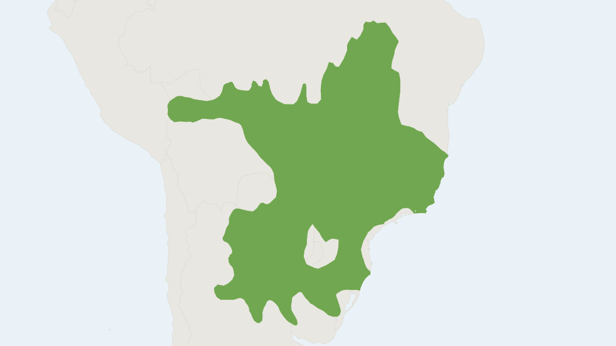 Range map of the Maned Wolf (Chrysocyon brachyurus) covering Argentina, Bolivia and Brazil