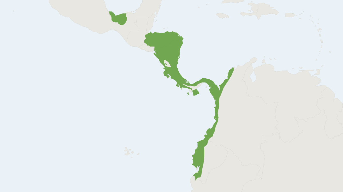 Range map of the Mantled Howler Monkey (Alouatta palliata)