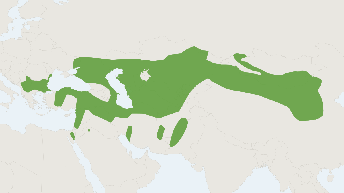 Range map of the Marbled Polecat (Vormela peregusna)