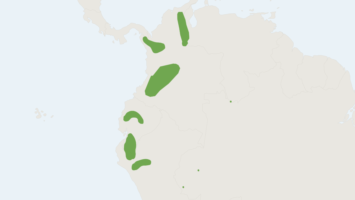 Range map of the Marmosops caucae (Marmosops caucae)