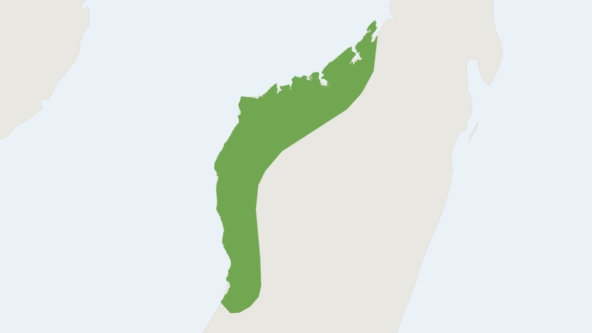 Range map of the Marovaza House Bat (Scotophilus marovaza)