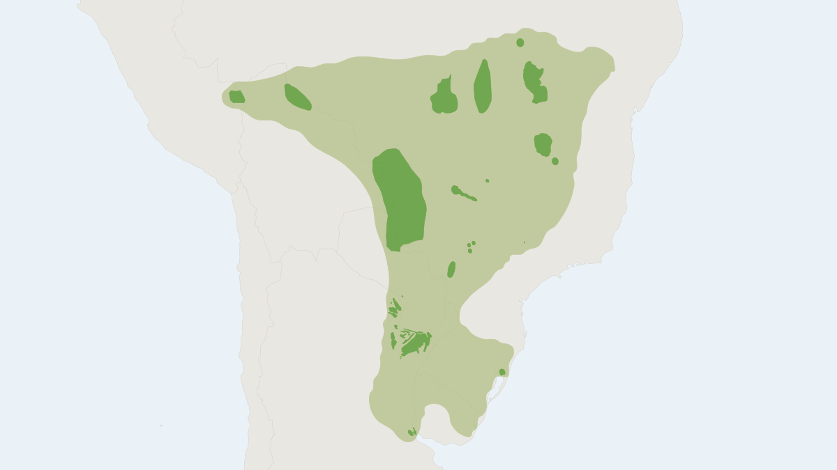 Range map of the Marsh Deer (Blastocerus dichotomus) covering Argentina, Bolivia and Brazil