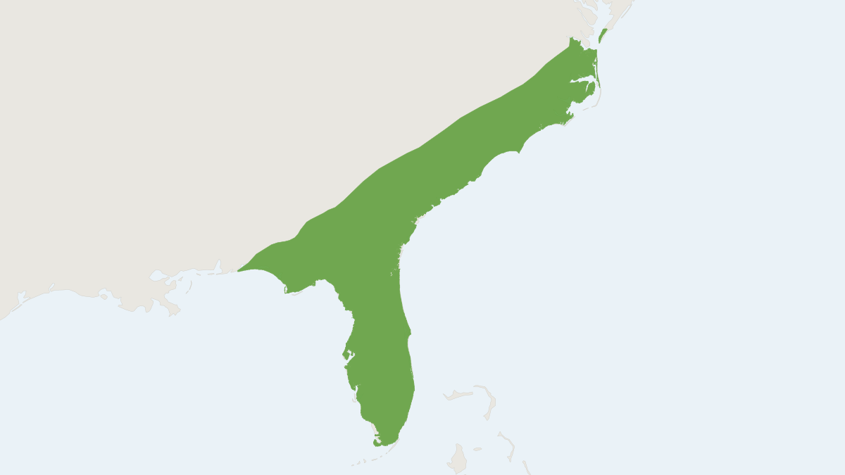 Range map of the Marsh Rabbit (Sylvilagus palustris)