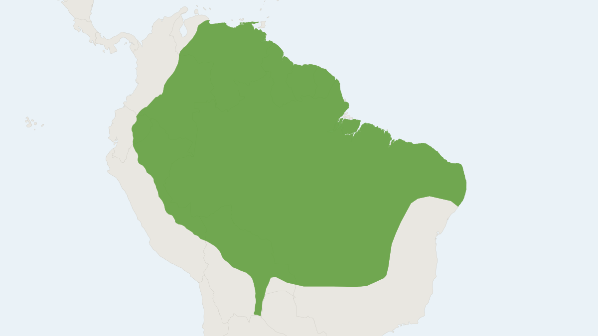 Range map of the Marsh Rat (Holochilus sciureus)