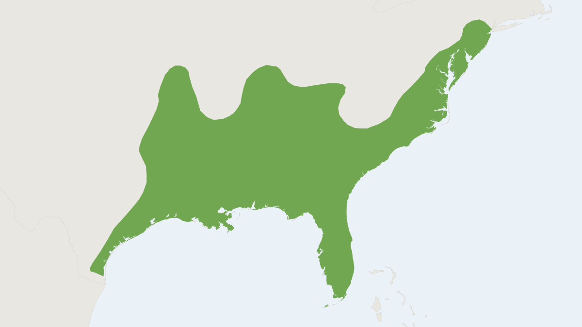 Range map of the Marsh Rice Rat (Oryzomys palustris)